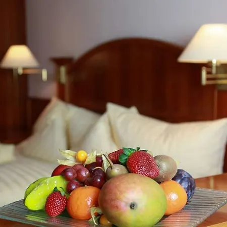 Ritter Hotel 4*